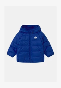 Adidas D Great Jacket